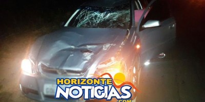 Migrantinópolis - Animal solto na pista ocasiona acidente 