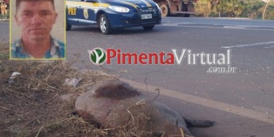 Morador de Rolim de Moura perde a vida após colidir com capivara e ser atropelado por caminhão em Pimenta Bueno - ATUALIZADA