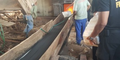 PF incinera 420 quilos de drogas em madeireira de Ji-Paraná