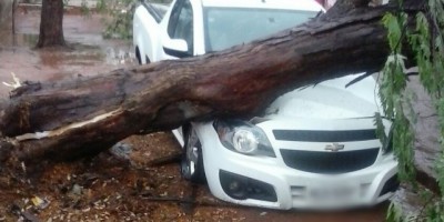 Rolim de Moura -  Chuva forte atinge a cidade e resulta em danos aos moradores 