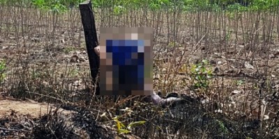 Idoso morre eletrocutado em cerca onde caiu fio de alta tensão