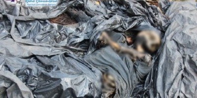 Cadáver é encontrado no setor chacareiro próximo a Globoaves em Espigão