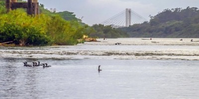 Mato Grosso - Andarilho morre afogado ao tentar salvar 