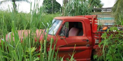 Rolim de Moura - Corpo de idoso é encontrado em estado de decomposição em sítio da família