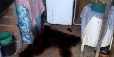 Vilhena - Idoso tenta suicídio atirando na própria cabeça e fica em estado grave