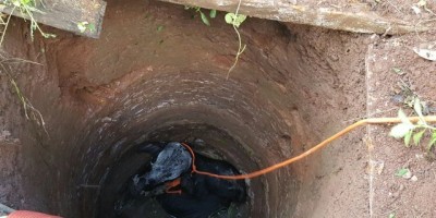 Rolim de Moura - Boi cai dentro de poço de propriedade rural e é retirado pelos bombeiros
