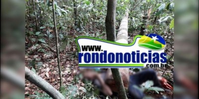 Homem morre esmagado por árvore após cortar o tronco, em Rondônia