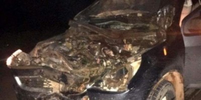 São Francisco: Carro com deputado estadual e assessores colide em cavalo na BR-429