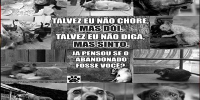 Rolim de Moura – Projeto Adotar é Legal realiza feira de adoção neste final de semana