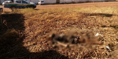 Rolim de Moura -  Populares encontram corpo de homem em terreno no bairro Planalto 