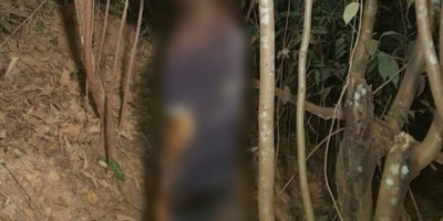 Cadáver é encontrado em estado de decomposição dentro de mata às margens da BR-364
