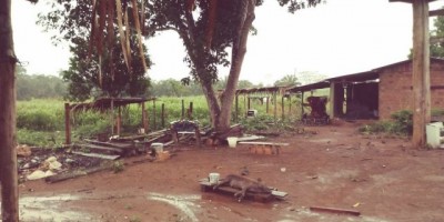 Raio cai próximo a árvore e homem morre com a descarga elétrica em Colina Verde
