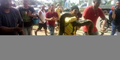 Sucuri chama atenção de populares no Skate Parque, em Porto Velho 