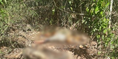 Corpos de casal são encontrados em mata com marcas de tiros em Porto Velho