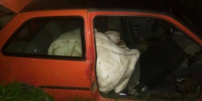 Brasil - Ladrões colocam boi de quase uma tonelada dentro de carro