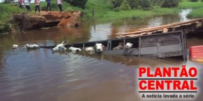 Jaru - Caminhão carregado de gado cai em ponte na 614 e 15 animais morrem afogados