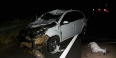 Animal na pista causa acidente na BR-429,  próximo de Seringueiras
