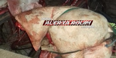 Rolim de Moura - Indivíduos abatem e furtam porco de propriedade rural, mas durante a fuga acabam presos pela Polícia Militar 