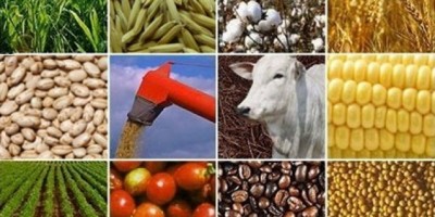 Utilidade Pública - Oportunidade de Trabalho