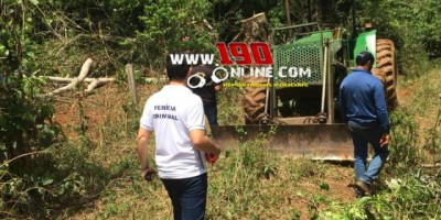 Alta Floresta - Homem de 33 anos morre em acidente de trabalho, ao ser soterrado por tronco de árvore