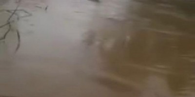 VÍDEO: Tensão e desespero, barco vira no rio Amazonas; Veja