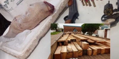 10º BPM – Carga de madeira sem licença ambiental, armas de fogo e munições são apreendidas pela PM durante “Operação Paz no Campo”