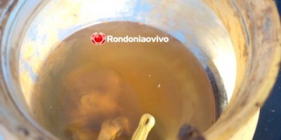 Feto de cinco meses é encontrado em mata, em Porto Velho