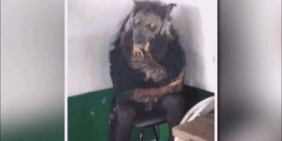 Brasil - Polícia prende homem vestido de lobisomem que assustava moradores - Vídeo