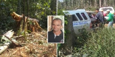 Homem morre esmagado por árvore durante derrubada, em Seringueiras