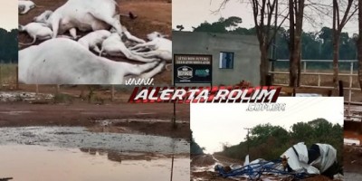 Jardinópolis – Vendaval, chuva de granizo e raios causam terror em moradores da região, destruição, além de morte de animais