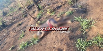 Rolim de Moura – Urgente! Homem com sinais possivelmente de perfuração de faca é encontrado morto, no Setor Chacareiro