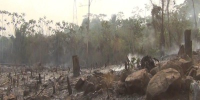 Corpo carbonizado é achado em área desmatada, em Ariquemes