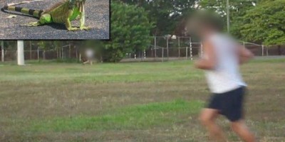 Durante teste físico, candidato a soldado da PM desmaia ao ver iguana e processa instituto que aplicou a prova, no Rio Grande do Norte 
