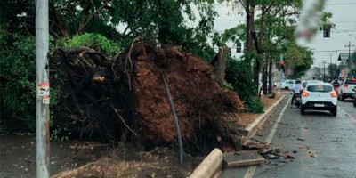 Frente fria provoca temporal e deixa rastro de destruição em Porto Velho