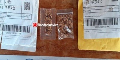 ALERTA: Sementes misteriosas da China chegam à Rondônia