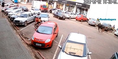 Vídeo: PM abate búfala solta nas ruas de Porto Velho