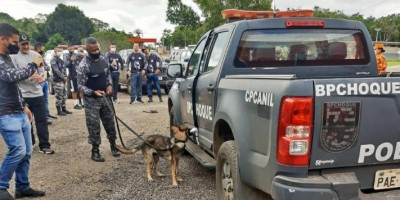 Policiais do 4° Batalhão participam de Seminário 'Cães de Detecção'