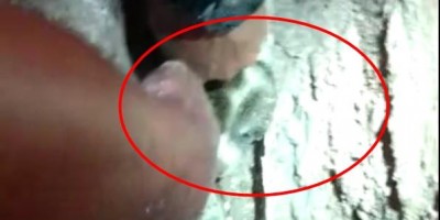 Bombeiros resgatam filhote de cachorro que estava preso em encanamento, em Rolim de Moura – Veja o vídeo  