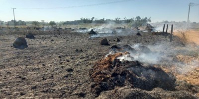 Secretário de Meio Ambiente diz que combater as queimadas é uma luta travada que necessita da ajuda da população 