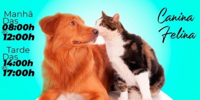 Vacinação antirrábica canina e felina será no próximo sábado na zona urbana de Rolim de Moura; Confira os locais