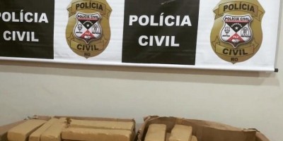 Polícia Civil apreende 42 quilos de maconha em Primavera de Rondônia