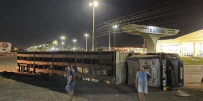 Carreta carregada de bezerros tomba na BR 364, em Cacoal
