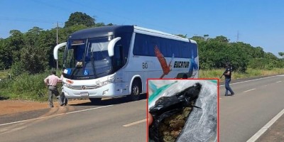 Passageiro de ônibus foi preso transportando droga em Costa Marques 