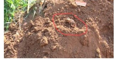 Feto de 15 centímetros foi encontrado por pedreiros que construíam muro em Cacoal 