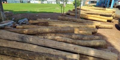 Edital de leilão para venda de madeiras em Rolim de Moura