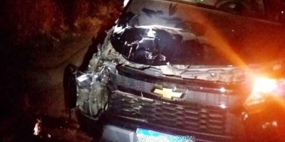 Caminhonete bateu em gado solto na RO 010 em Pimenta Bueno