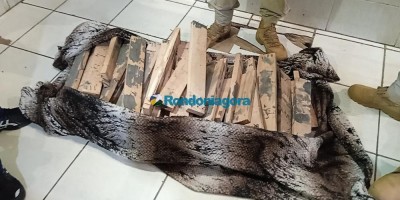 PRF prendeu passageiro de ônibus com 40 kg de cocaína em RO