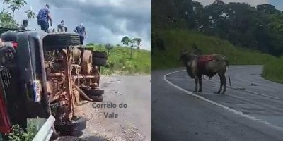 Caminhão boiadeiro tombou na Serra da Onça, na BR 429