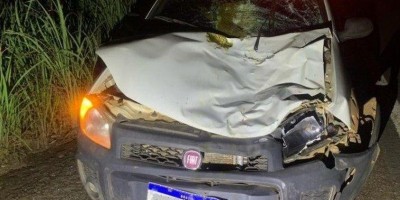 Animais soltos na BR 429 continuam causando acidentes