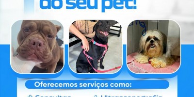  Emergência Veterinária? A Anjos de Patas Atende 24h! 